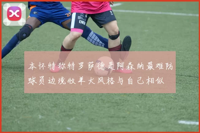 本怀特称特罗萨德是阿森纳最难防球员边境牧羊犬风格与自己相似