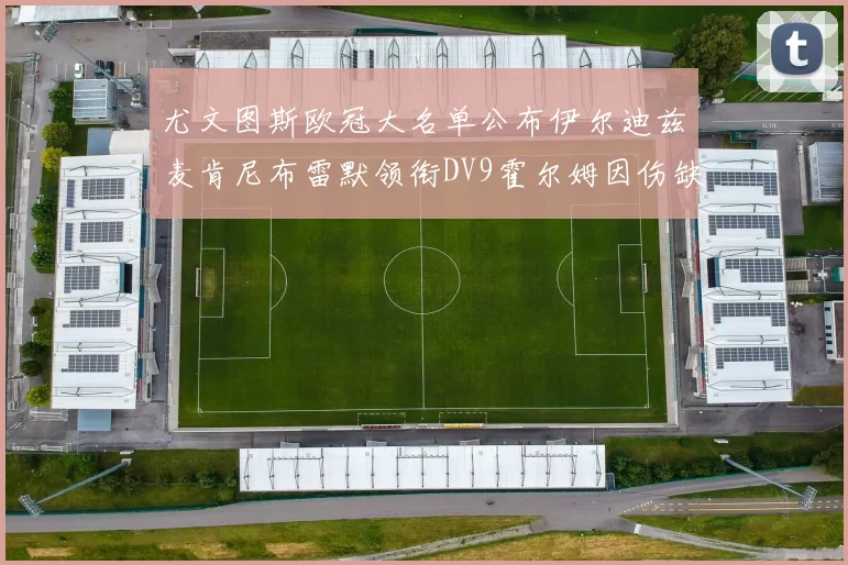 尤文图斯欧冠大名单公布伊尔迪兹麦肯尼布雷默领衔DV9霍尔姆因伤缺席